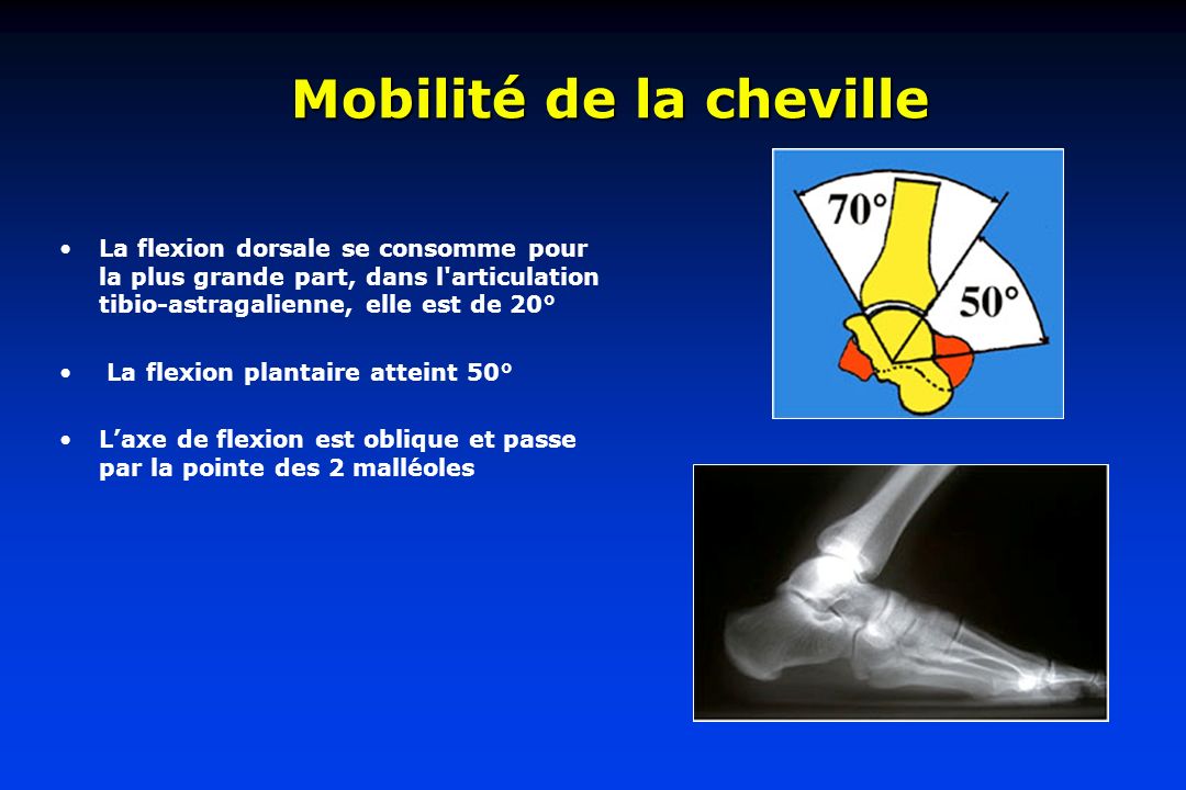 Traumatologie de la cheville ppt t l charger